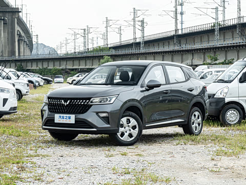 2026�� 1.5L �ֶ�������