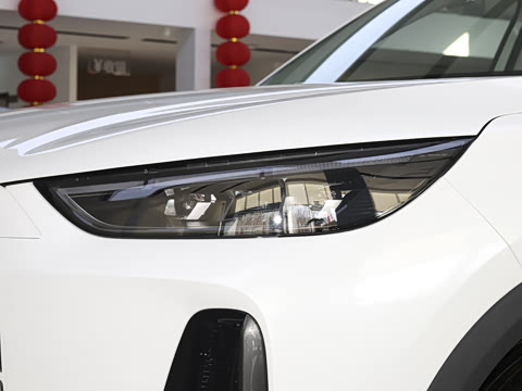 2025�� 120 ���������콢�� 7�� �������