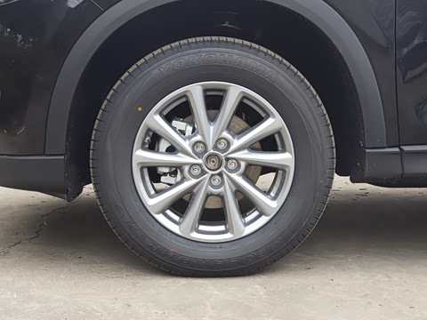 2025�� 2.0L �Զ�����������