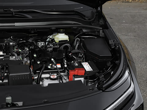 2026�� 1.8L ˫�� ��Ӣ��