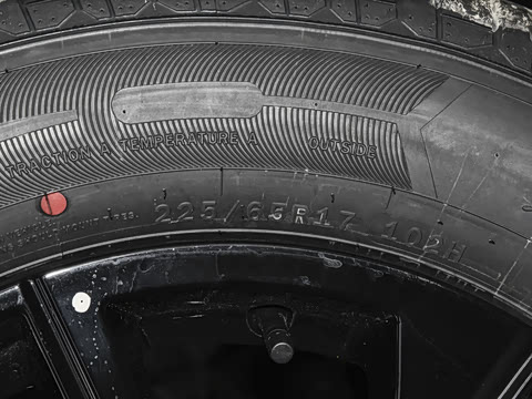 2026�� ������������