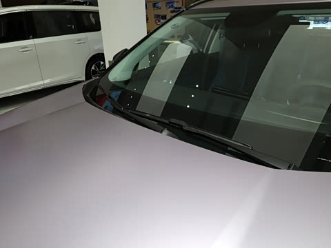 2026�� Ӱ�� 270T ������