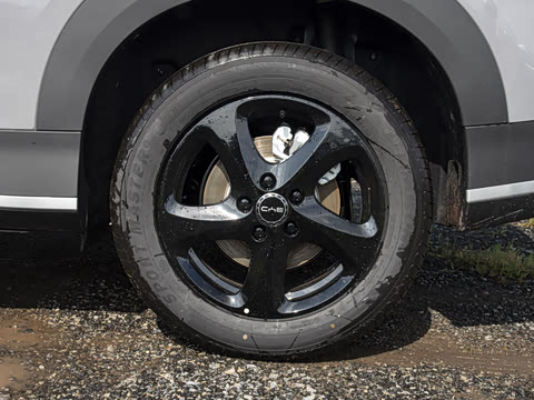 2026�� DM-i 220������