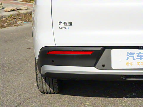 2026�� DM-i 133KM��ȡ��