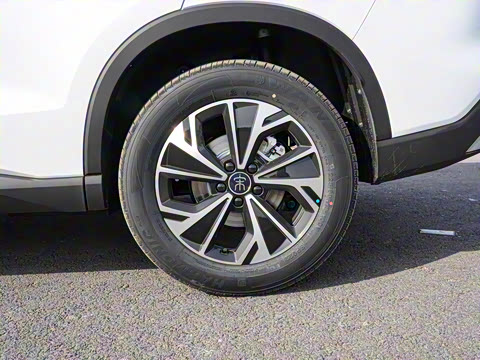 2026�� DM-i 133KM��ȡ��