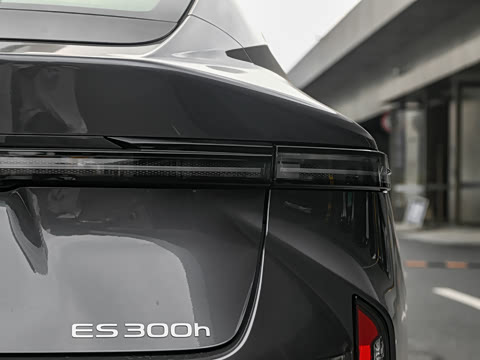 2026�� 300h