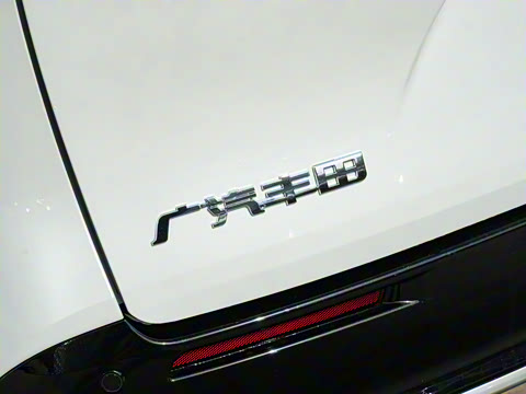 2026�� 2.5L ˫����������