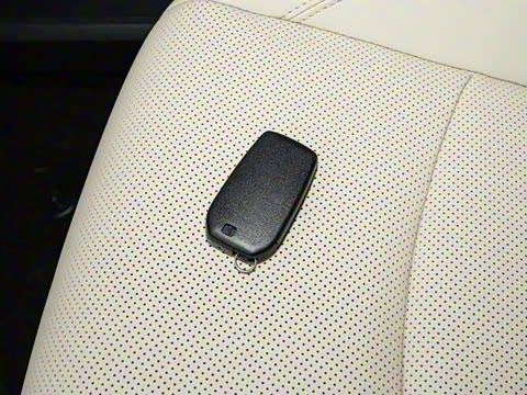 2026�� 2.5L ˫����������