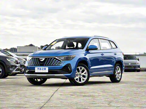 2026�� 280TSI �Զ��ȷ��