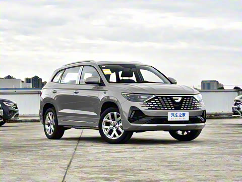 2026�� 280TSI �Զ��ȷ��