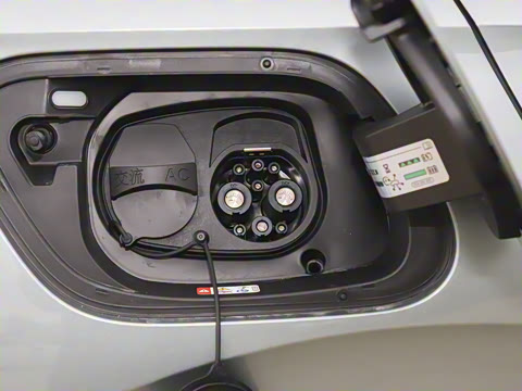 2026��  PURE+��