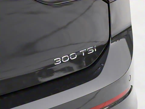 2025�� �Ŀ�� 300TSI R-Line