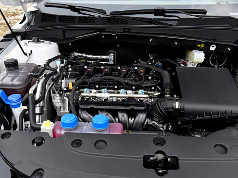 2026�� 1.5L �������� ������
