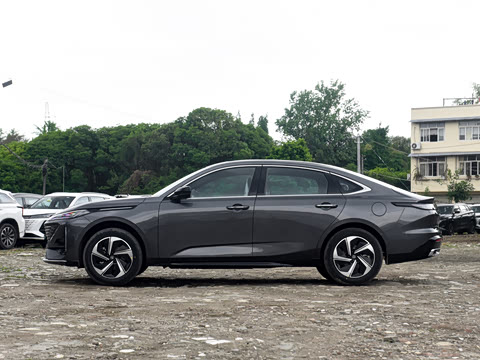 2026�� 1.5L �������� ������