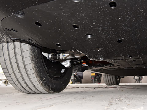 2026�� Elite �����