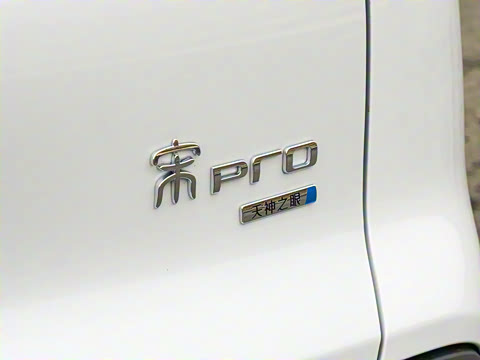 2026�� DM-i 133KM��Խ��