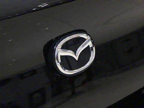 2025�� 2.0L �Զ������