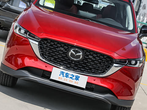 2025�� 2.0L �Զ���������Pro