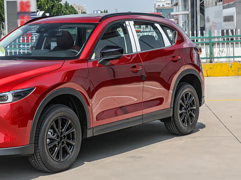 2025�� 2.0L �Զ���������Pro