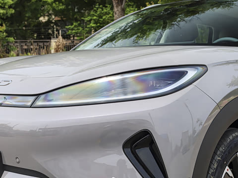 2026�� DM-i 305�Ǻ���