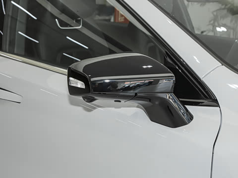 2025�� ����600�����˶���