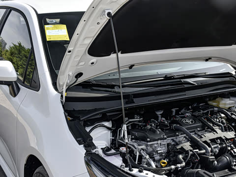 2026�� ����L ���ܵ��˫�� 1.8L ���Ȱ�