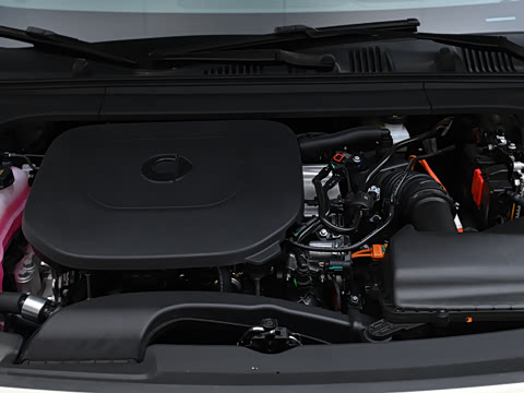 2026�� 135km ������