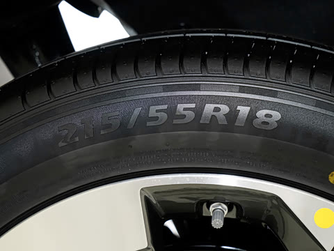 2026�� 1.5L 220km ����+