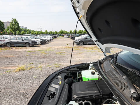 2026�� Max�����״��
