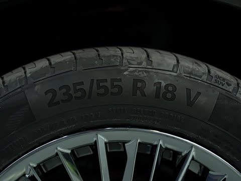 2025�� ������