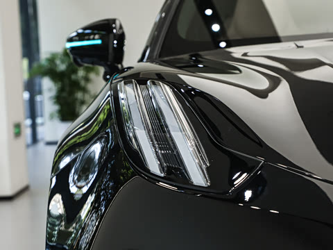 2026��   95������ Max��