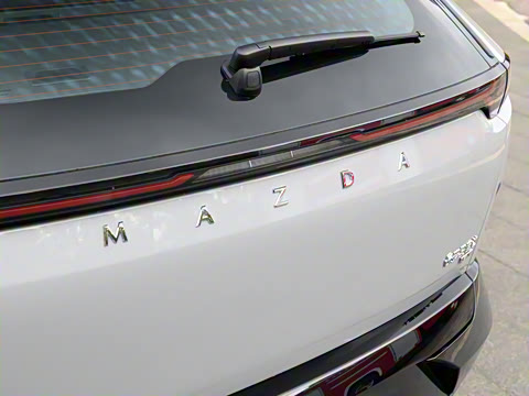 2025�� ����600 Max