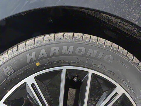 2026�� 520�Ǻ���