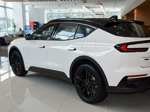 2026�� 2.0T EcoBoost E �춯 �˶���