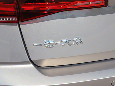 2025�� �Ŀ� 200TSI DSG���е�����