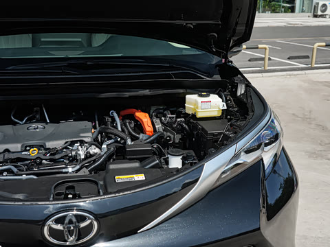 2026�� 2.5L ˫������������