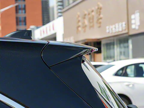 2026�� 2.5L ˫������������