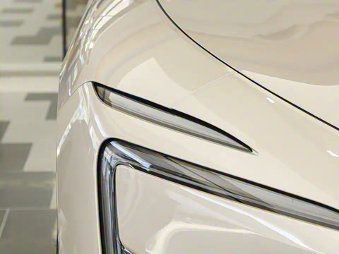 2026�� Max �����