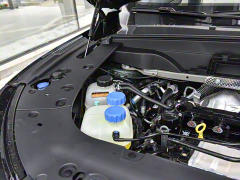 2026�� �������̼�����