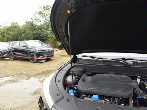 2026�� �ڶ��� 1.5T ��ԽPRO