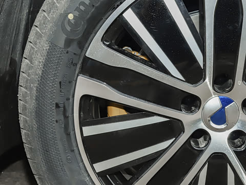 2025�� ������