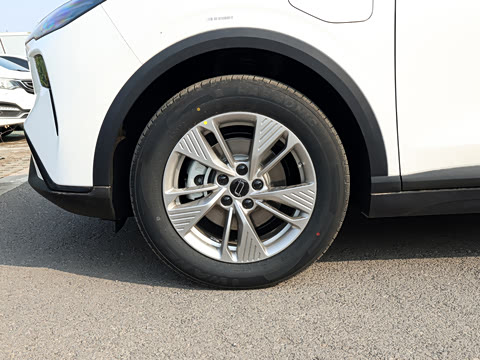 2026�� 565km ������