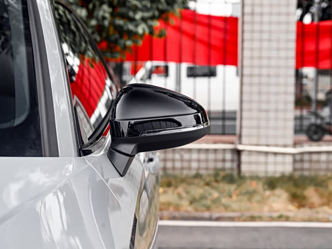 2024�� RS 5 2.9T Coupe ȼ���