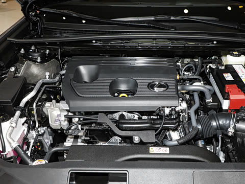 2026�� 200 ��Ӱ˫ɫ�ر��