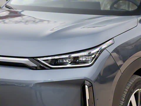 2026�� 650 ��׼��