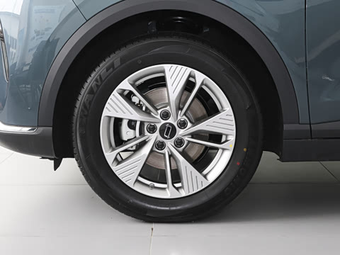 2026�� 565km ������