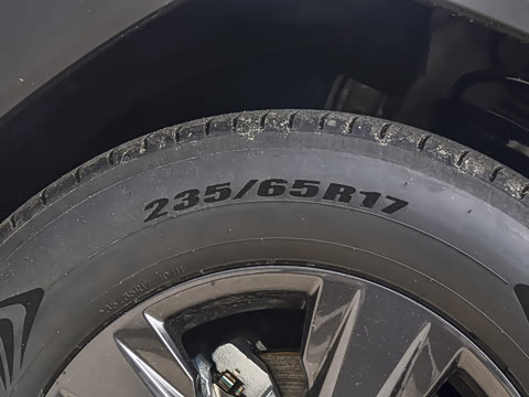 2026�� ˫�� 2.0L ������Ӣ��