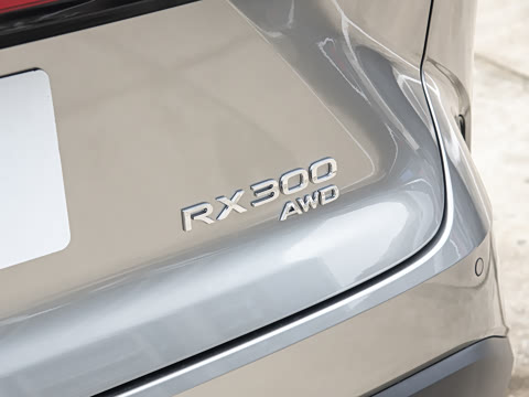 2026�� 300 ����������