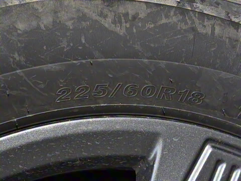 2025�� 520���а�