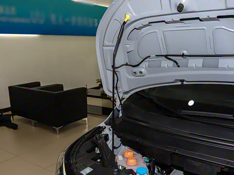 2025�� Plus 430 ������